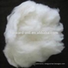 Good Length with Good Feeling Raw White Favorable Cashmere Fiber